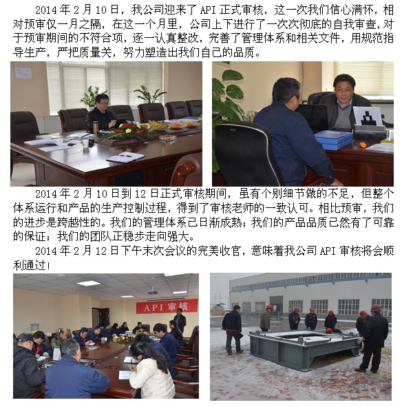 API正式審核